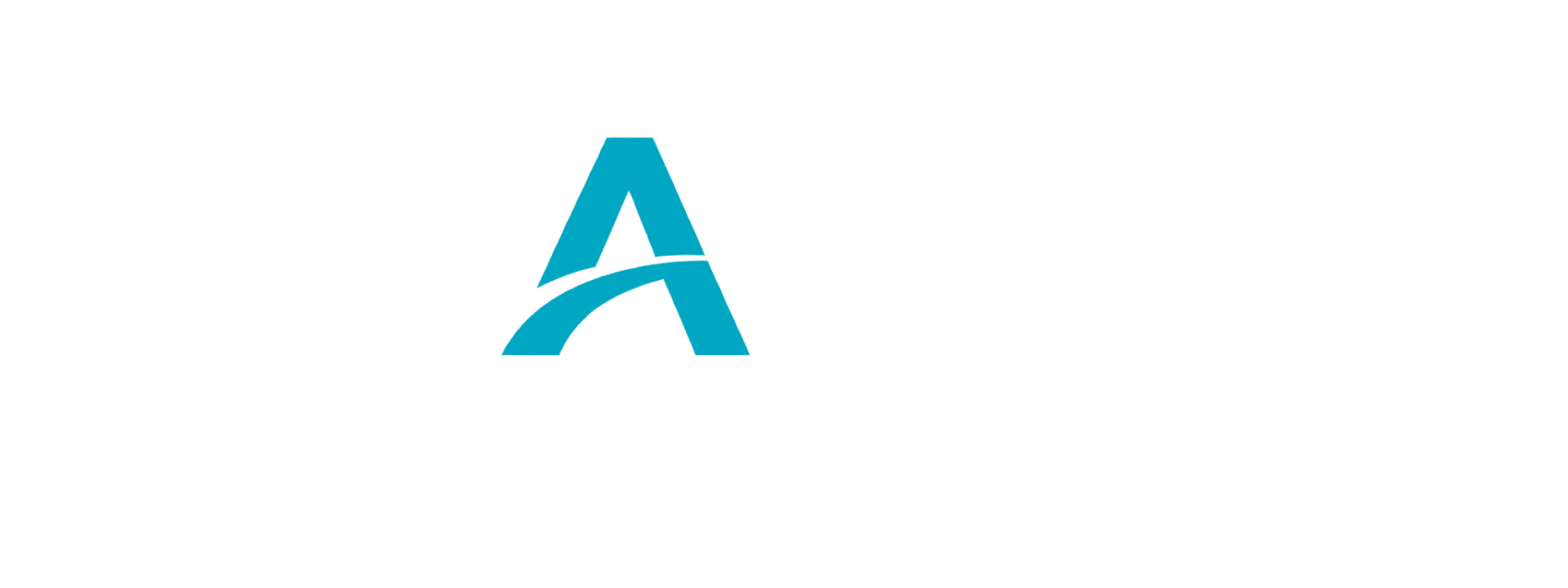 SoloAgentes Academy